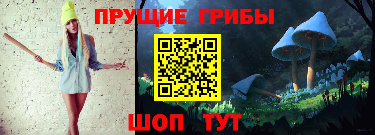 Псилоцибиновые грибы GOLDEN TEACHER  Вход с VPN  Кандалакша 